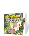 Hometown Story