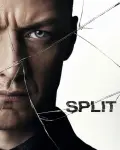 Múltiple (2016)