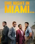 One Night in Miami... (2021)