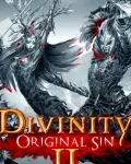 Divinity: Original Sin 2