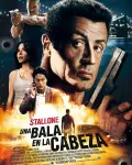 Una bala en la cabeza (2013)