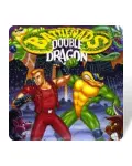 Battletoads & Double Dragon