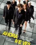 Ahora me ves... (2013)