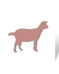 Goat Simulator