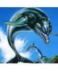 Ecco the Dolphin (3D Classics)