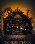 El museo de las maravillas (2017)
