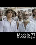 Modelo 77 (2022)
