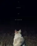 Llega de noche (2017)