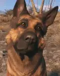 Fallout 4: GOTY Edition