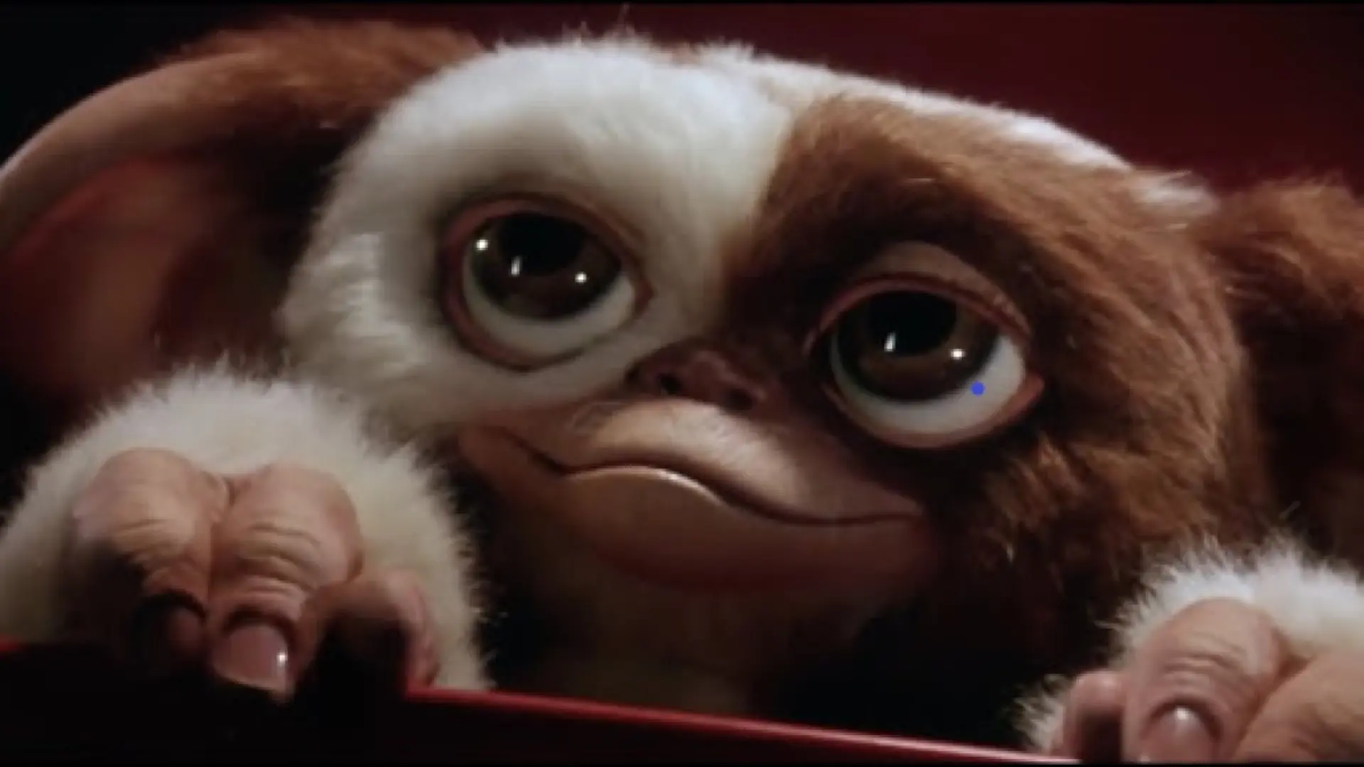 Gremlins 3 ya tiene primer teaser: regresa Gizmo y hay fecha de estreno, pero será más tarde de lo esperado