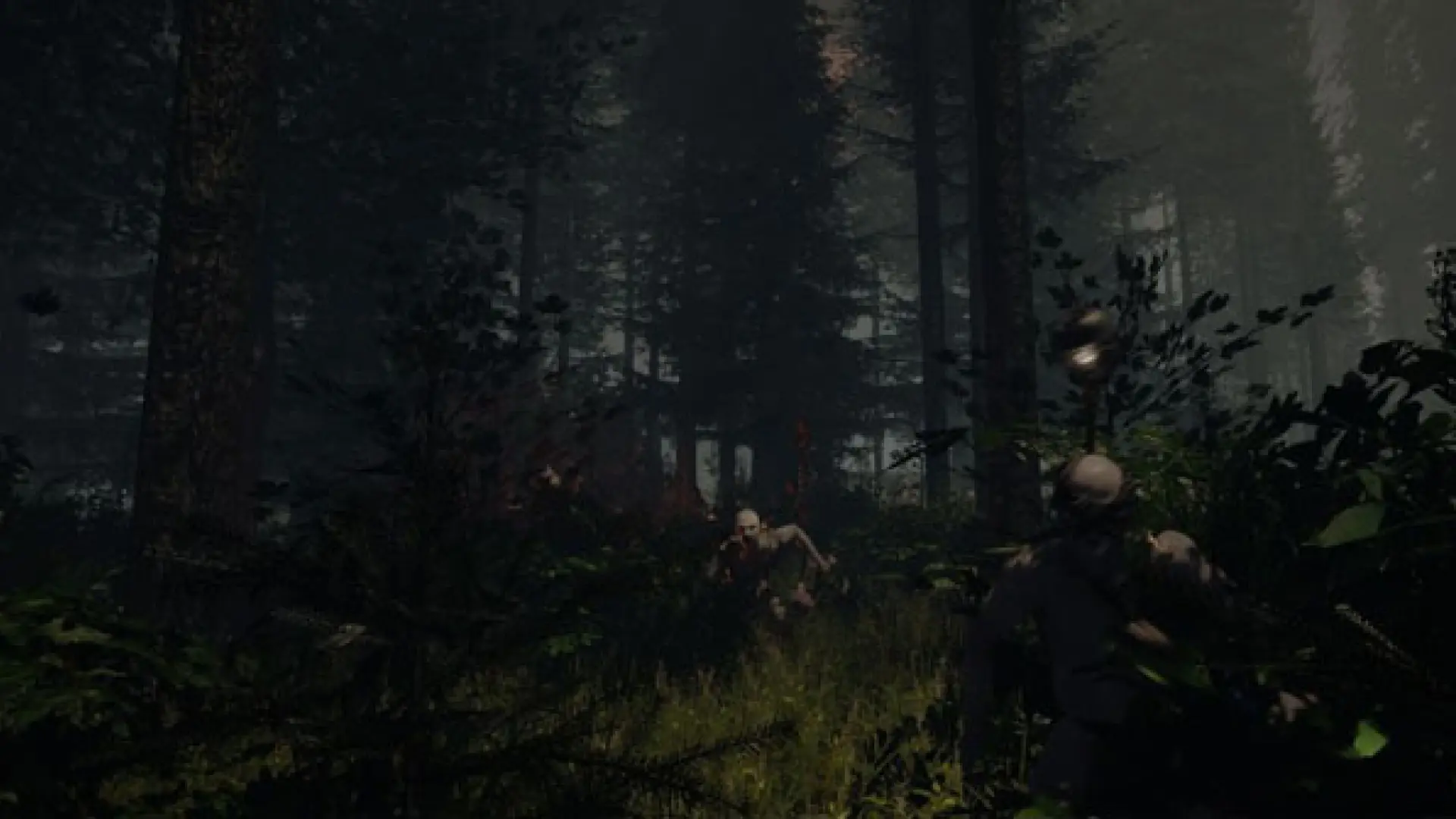 Nuevas imágenes para The Forest