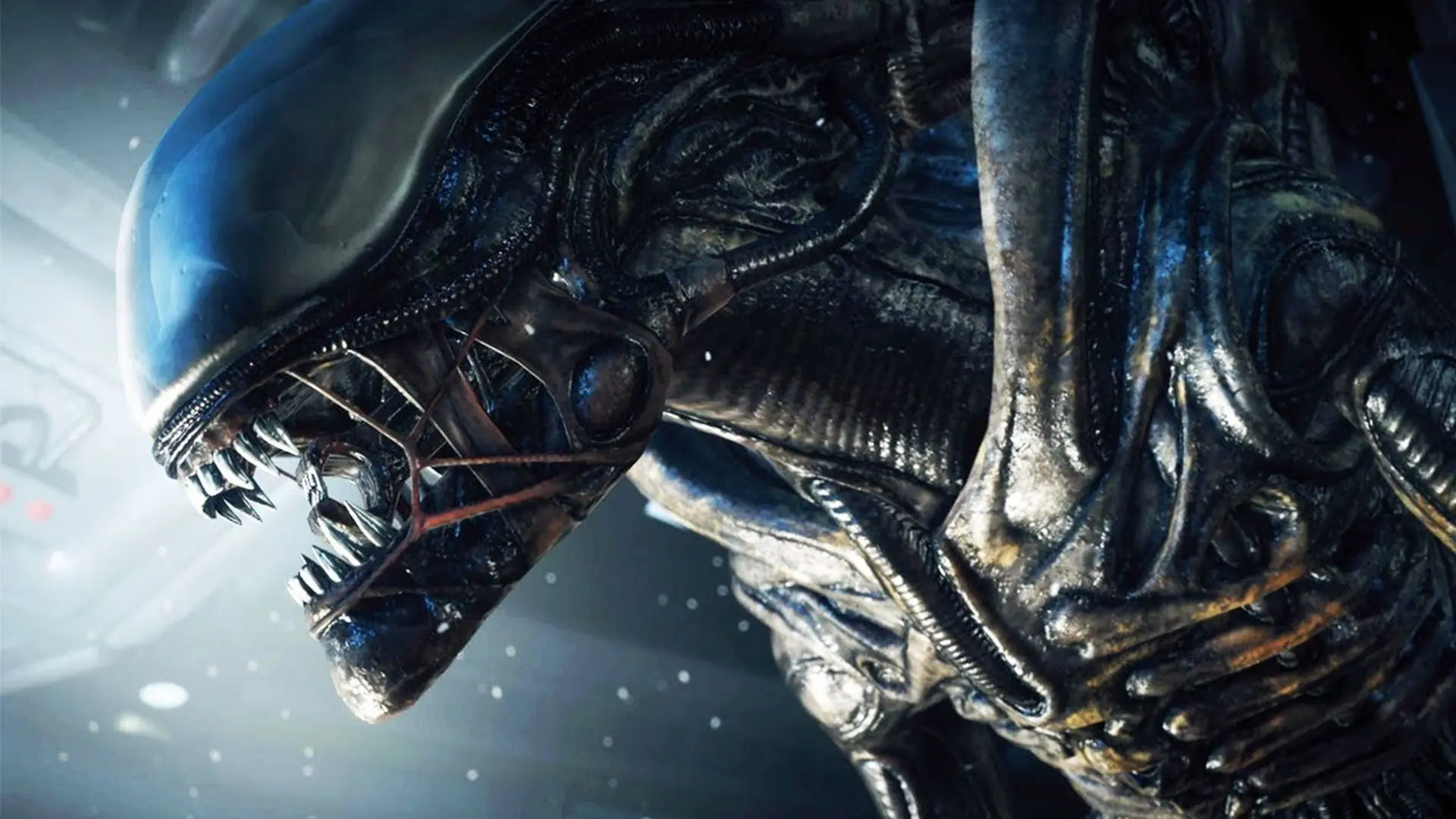 El director de Alien: Romulus habla de un Easter Egg de Alien Isolation