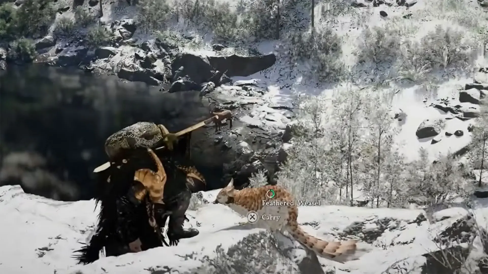 
         Cómo conseguir todas las nuevas mascotas que Crimson Desert ha introducido en la actualización 1.08, como el ornitorrinco o el mapache 
    
