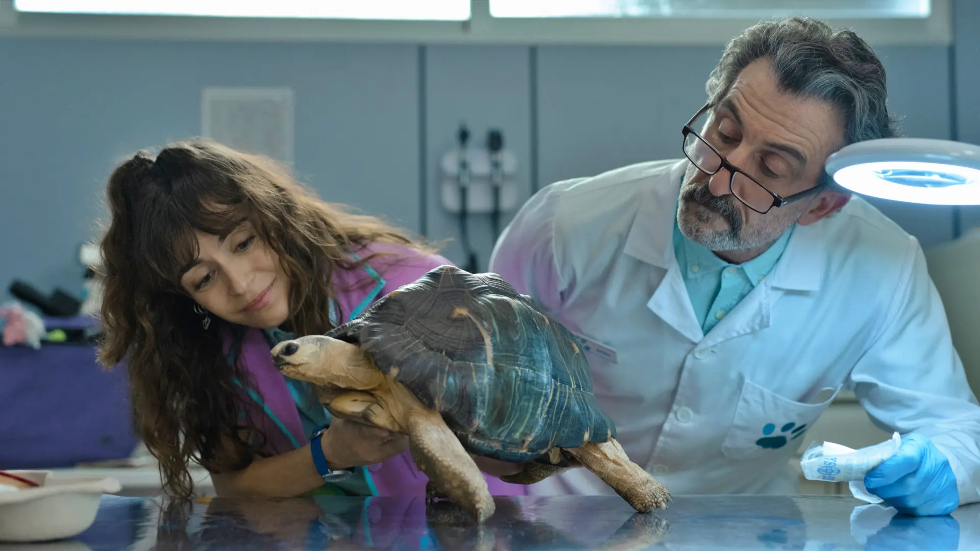 Luis Zahera vuelve a Netflix con Animal temporada 2: presenta un primer adelanto y confirma fecha de estreno