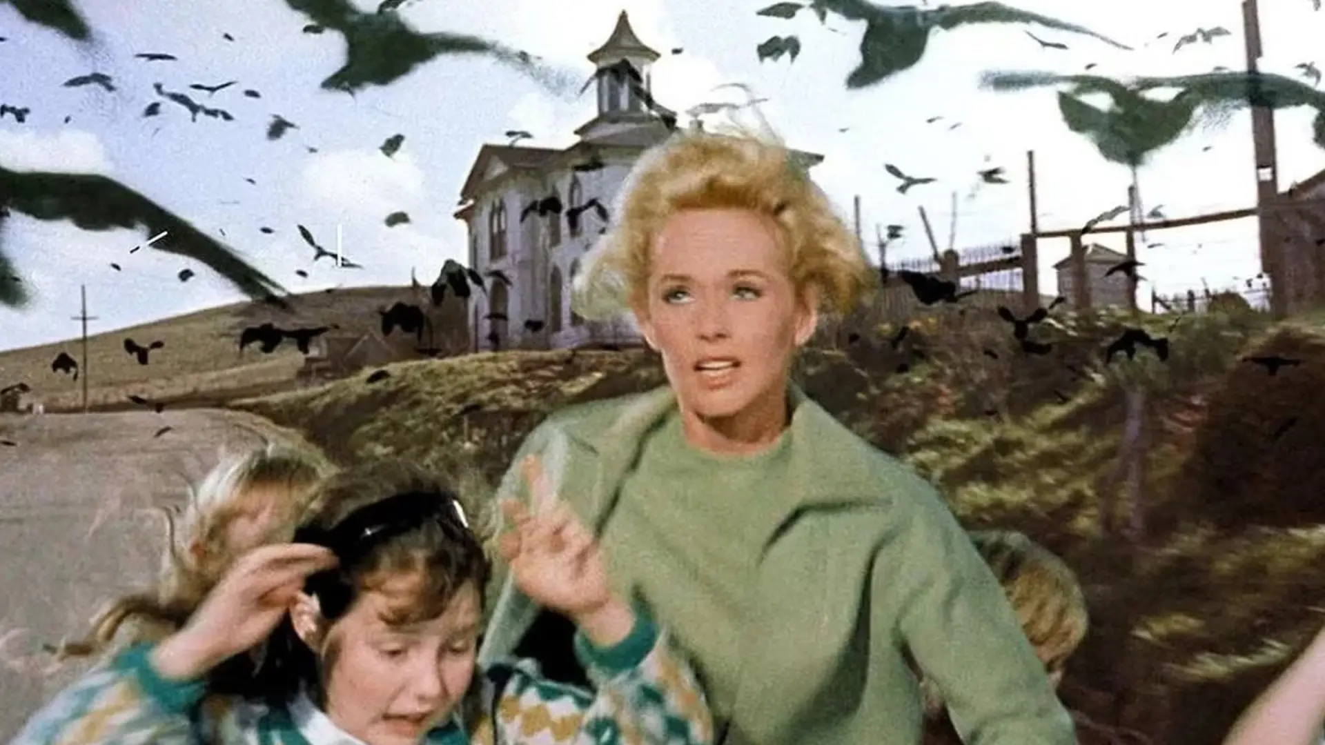 HBO Max prepara un remake de Los pájaros, el imprescindible clásico de Alfred Hitchcock, con una estrella de Succession