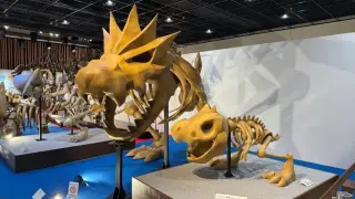 Chicago albergará la exposición de fósiles Pokémon por primera vez fuera de Japón