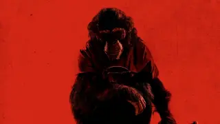 Primate (2026)