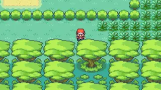 La Zona Safari es el lugar donde puedes atrapar a Dratini o incluso a Dragonair con mucha suerte