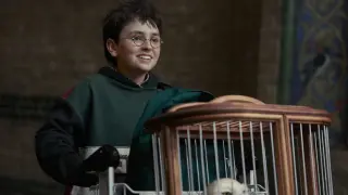 Harry Potter y la piedra filosofal (serie) - Dominic McLaughlin