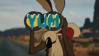 Coyote vs. Acme