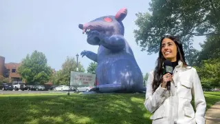 Asha Sharma tuvo un cálido recibimiento a su visita a las oficinas de Bethesda en Maryland
