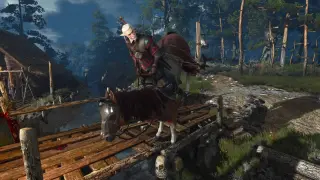 The Witcher 3
