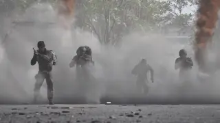 Wardogs