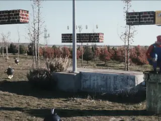 Super Mario Reality