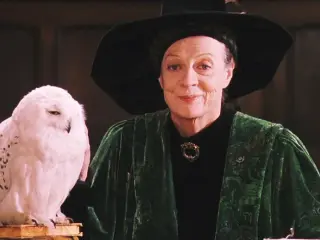 Maggie Smith como Minerva McGonagall
