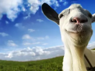 'Goat Simulator'.