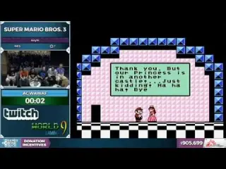 Super Mario Bros. 3 Speedrun