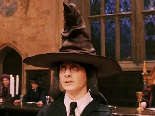 Sombrero seleccionador Harry Potter