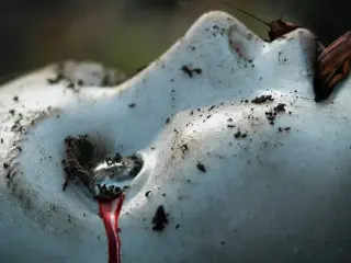 Películas de terror de estreno en 2020