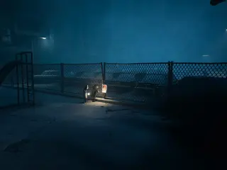 Reanimal