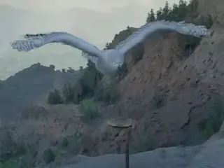 Cómo conseguir un búho como mascota en Crimson Desert