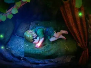 Zelda Ocarina of Time Remake