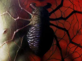 Midnight Spider-Man
