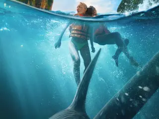 The bay (2026)