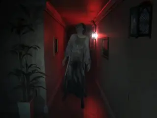 P.T. para PC