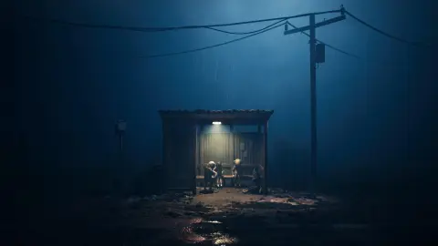 Análisis de Reanimal