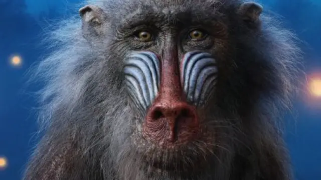 Rafiki El Rey León (2019)
