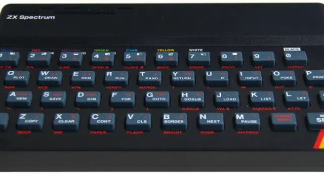 その他 cy425354123 71GaYmJdCPL._AC_UF350,