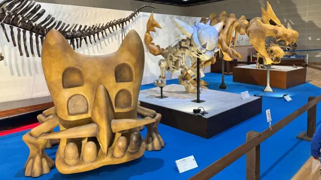La exposición de fósiles Pokémon llegará a EE.UU. por primera vez en 2026