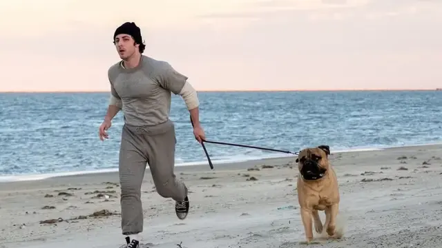 I Play Rocky (2026)