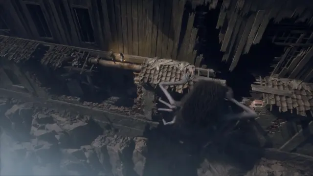 Análisis de Reanimal