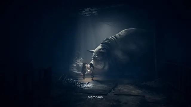 Análisis de Reanimal