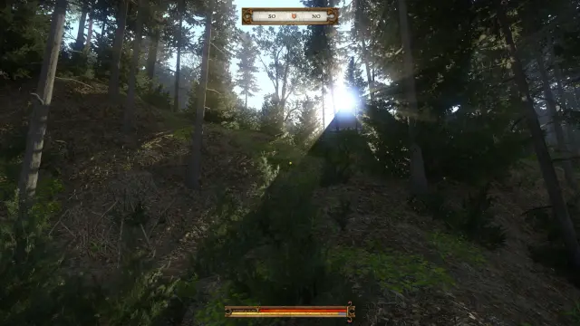 Kingdom Come: Deliverance