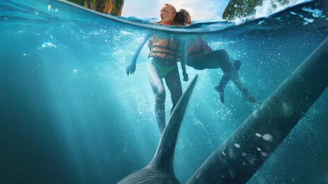 The bay (2026)