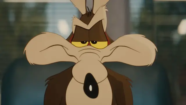 Coyote vs. Acme