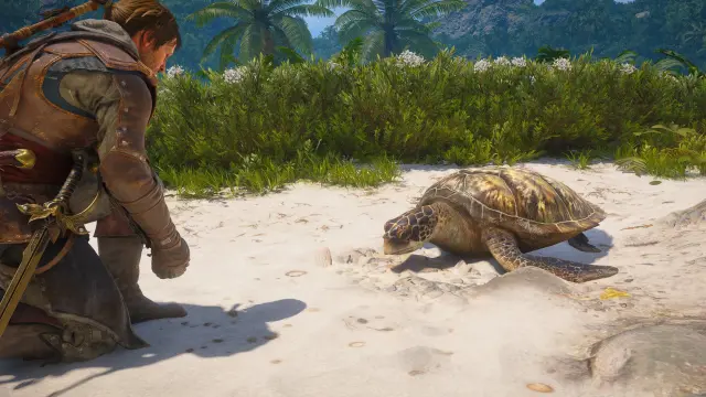 Dónde encontrar a los 7 animales amistosos de Assassin's Creed Black Flag Resynced y tener un mono de mascota
